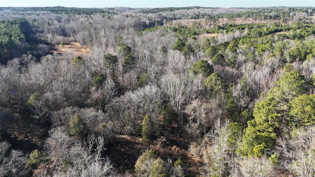 259 Sam Wilson Rd, Union, SC 29379 - photo 27