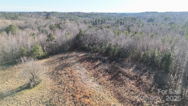 259 Sam Wilson Rd, Union, SC 29379 - photo 28
