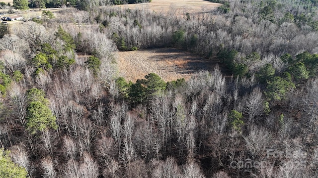 259 Sam Wilson Rd, Union, SC 29379 - photo 29