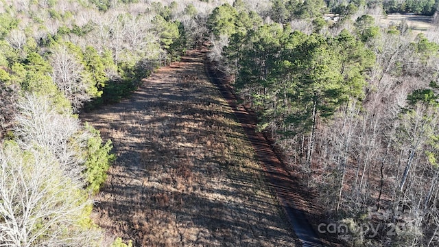 259 Sam Wilson Rd, Union, SC 29379 - photo 31