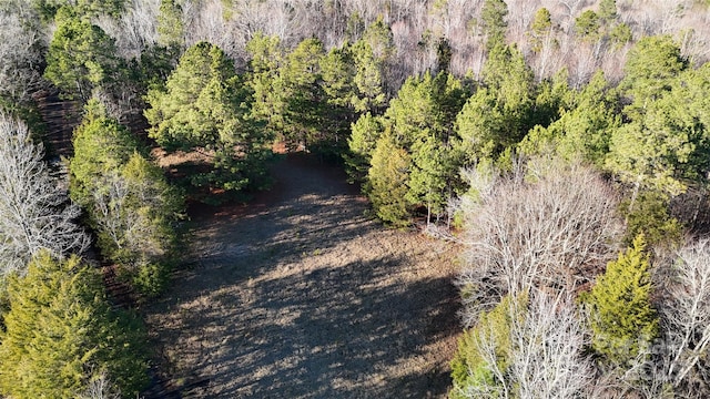 259 Sam Wilson Rd, Union, SC 29379 - photo 34