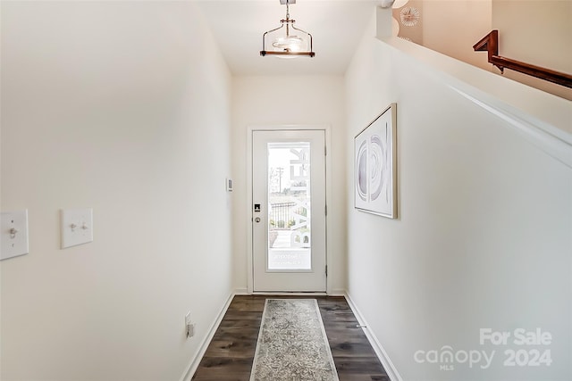 entryway featuring dark wood-type flooring