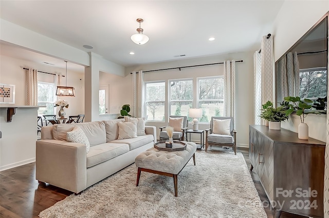 living room with wood-type flooring and a wealth of natural light