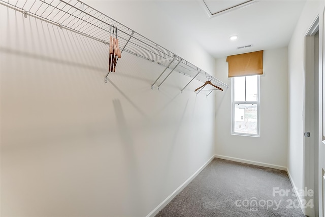 walk in closet featuring carpet flooring