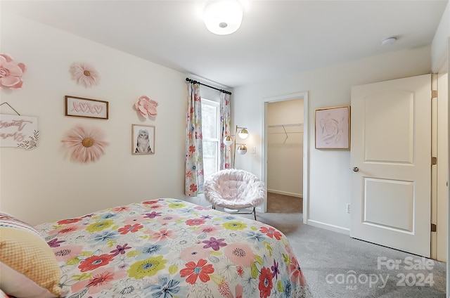 carpeted bedroom with a spacious closet and a closet