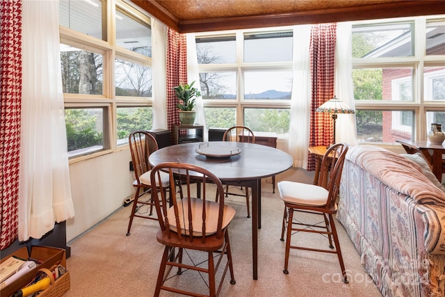 view of carpeted dining room