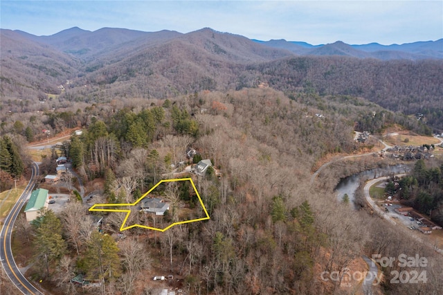 birds eye view of property featuring a mountain view