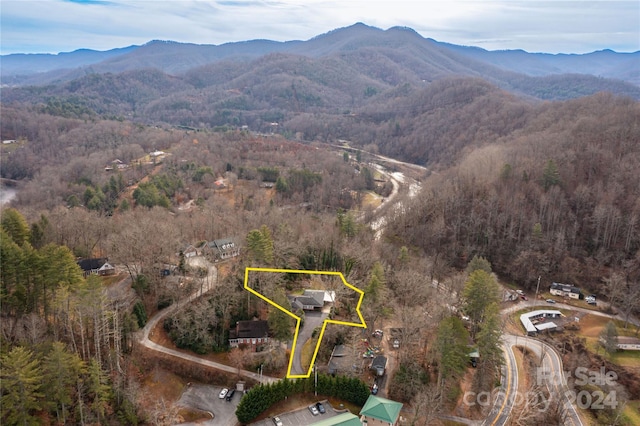 drone / aerial view with a mountain view