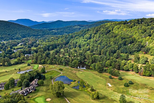 1010 High Vista Dr, Mills River, NC 28759 - photo 5