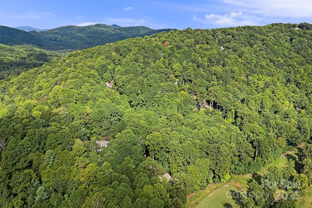 1010 High Vista Dr, Mills River, NC 28759 - photo 8