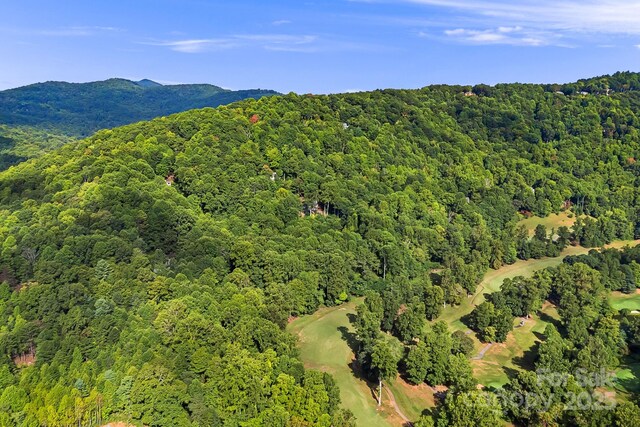 1010 High Vista Dr, Mills River, NC 28759 - photo 9