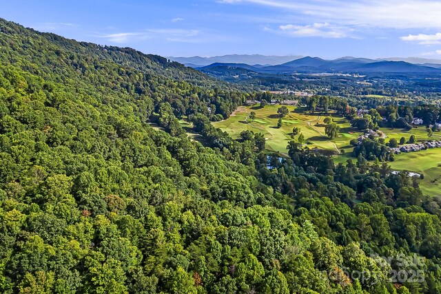 1010 High Vista Dr, Mills River, NC 28759 - photo 11