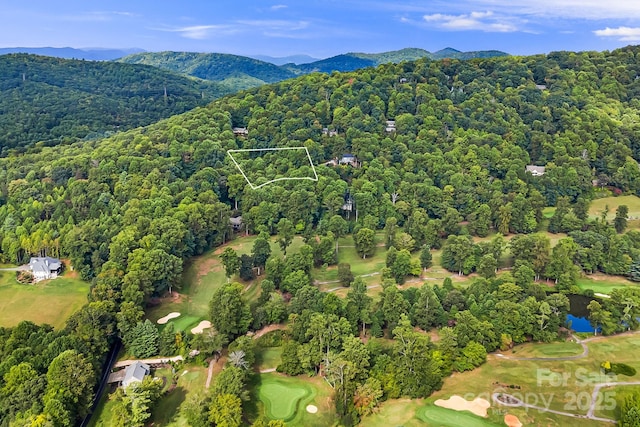 1010 High Vista Dr, Mills River, NC 28759 - photo 16