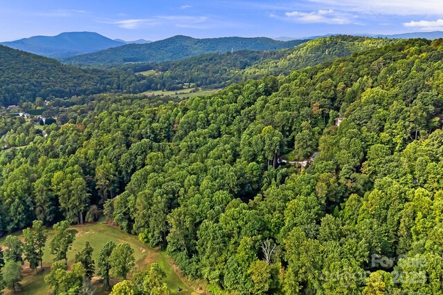 1010 High Vista Dr, Mills River, NC 28759 - photo 17