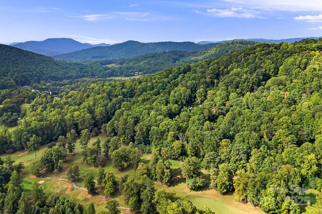 1010 High Vista Dr, Mills River, NC 28759 - photo 18