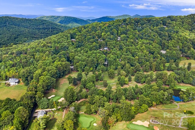 1010 High Vista Dr, Mills River, NC 28759 - photo 19