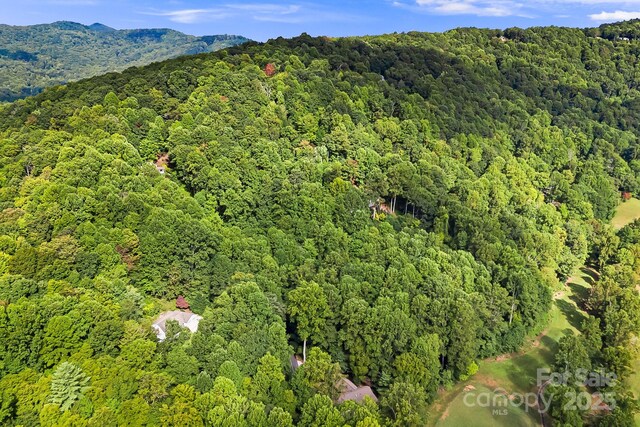 1010 High Vista Dr, Mills River, NC 28759 - photo 21