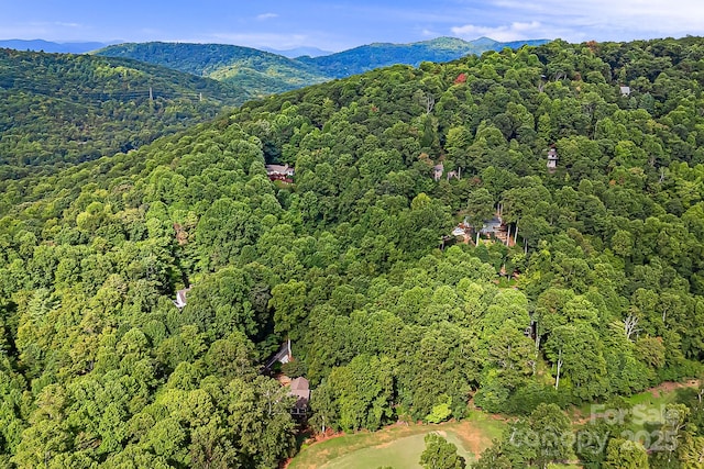 1010 High Vista Dr, Mills River, NC 28759 - photo 22