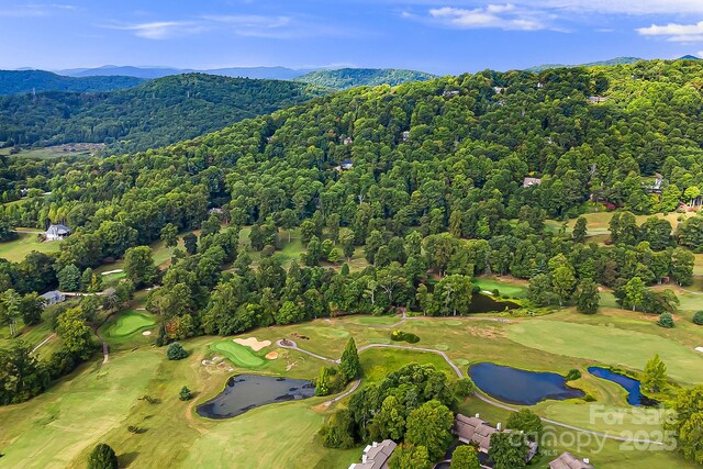 1010 High Vista Dr, Mills River, NC 28759 - photo 23