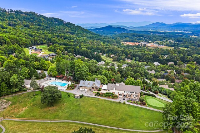 1010 High Vista Dr, Mills River, NC 28759 - photo 27