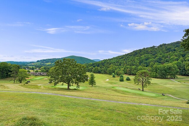 1010 High Vista Dr, Mills River, NC 28759 - photo 28