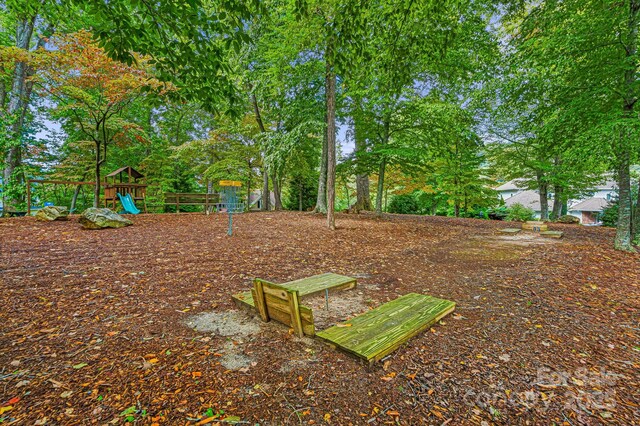 1010 High Vista Dr, Mills River, NC 28759 - photo 29