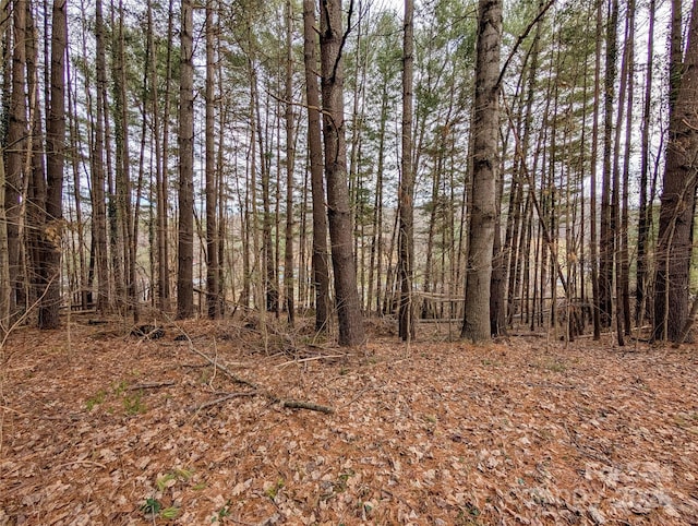 view of local wilderness