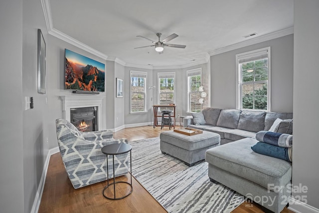 living room featuring ceiling fan, hardwood / wood-style flooring, and ornamental molding