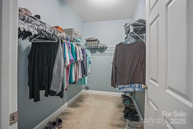 spacious closet with carpet