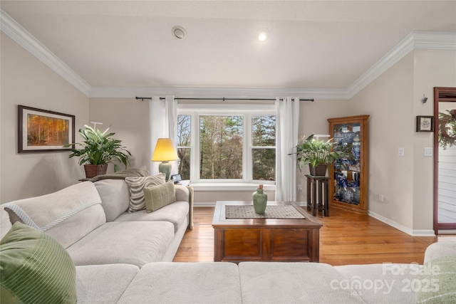 living room with light wood-type flooring and crown molding