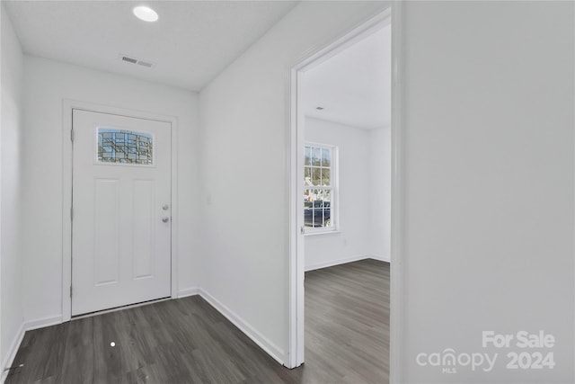 foyer entrance featuring dark hardwood / wood-style flooring