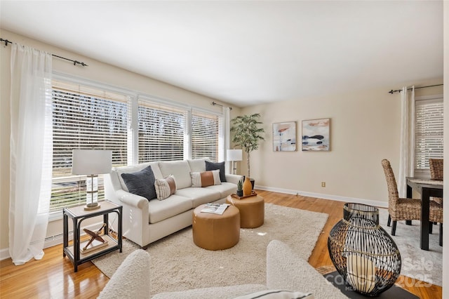 living room with hardwood / wood-style flooring