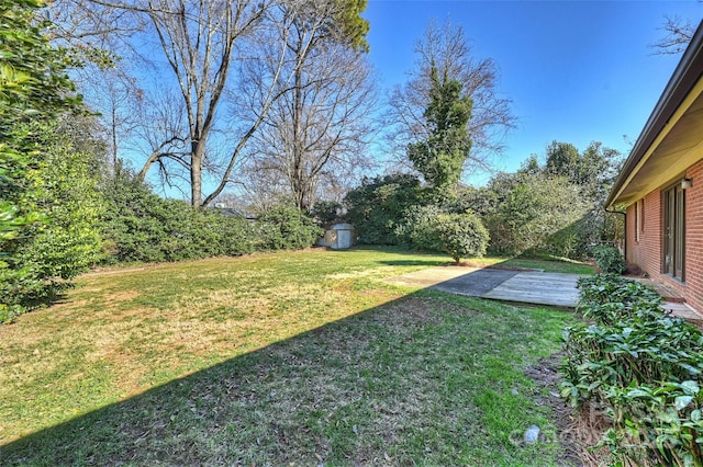 view of yard featuring a patio and a storage unit