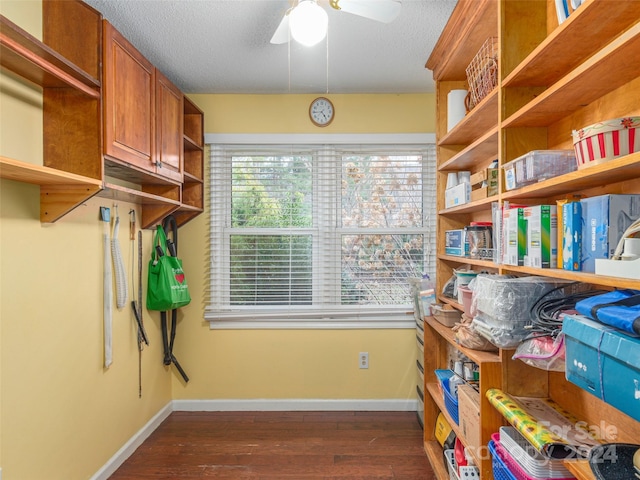 storage room featuring ceiling fan