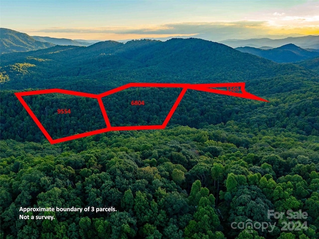 99999 Dotson Rd, Fairview NC, 28730 land for sale