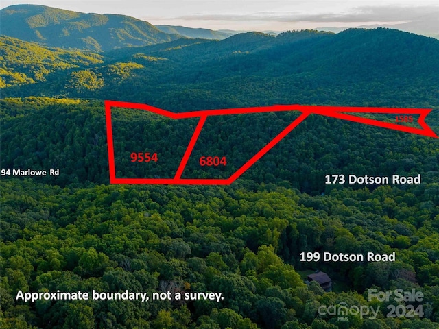 Listing photo 3 for 99999 Dotson Rd, Fairview NC 28730