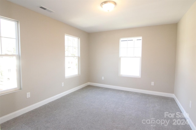 carpeted empty room featuring a healthy amount of sunlight