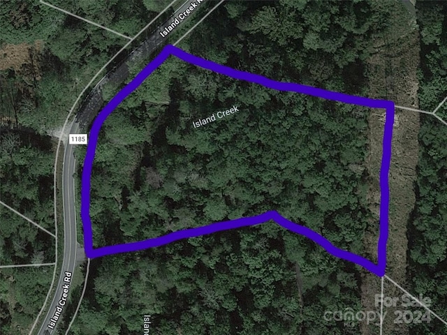 LOT1 Island Creek Rd, Lake Lure NC, 28746 land for sale