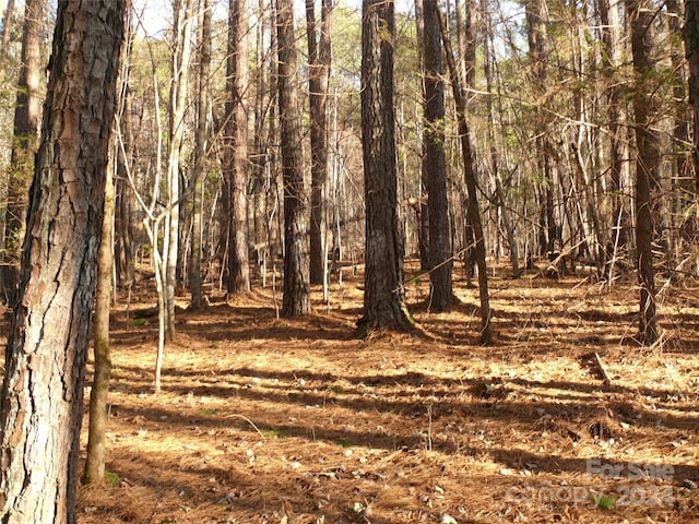 LOT1 Island Creek Rd, Lake Lure, NC 28746