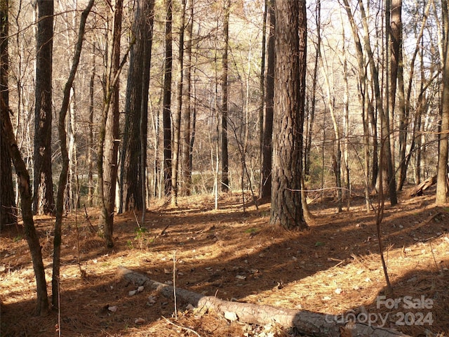 LOT1 Island Creek Rd, Lake Lure, NC 28746