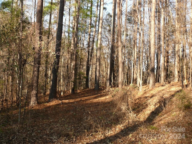 LOT1 Island Creek Rd, Lake Lure, NC 28746