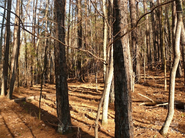 LOT1 Island Creek Rd, Lake Lure, NC 28746