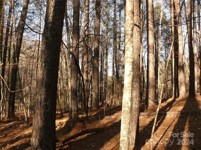 LOT1 Island Creek Rd, Lake Lure, NC 28746