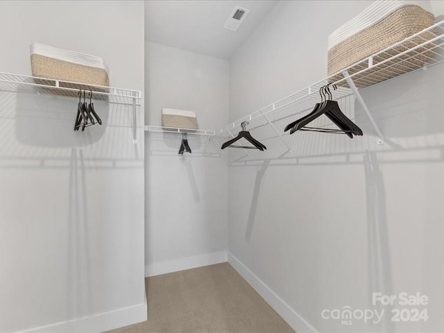 walk in closet featuring carpet flooring