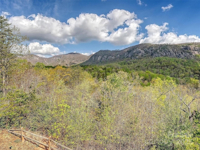 view of mountain background featuring a forest