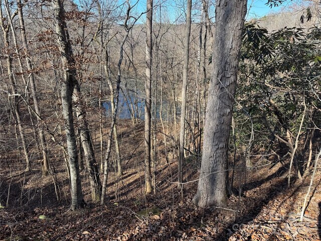 0 River Crest Parkway Unit 115, Rutherfordton, NC 28139
