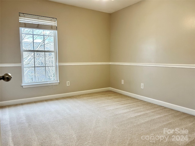 unfurnished room with carpet flooring