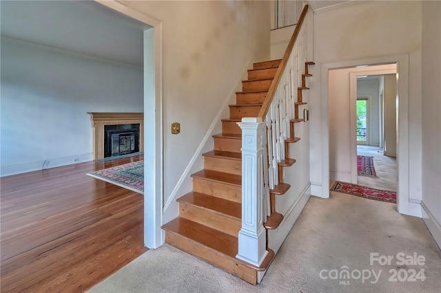 stairway with wood-type flooring