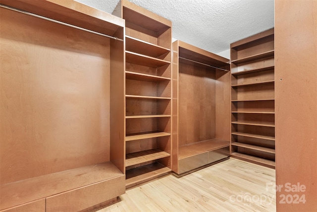 spacious closet with light hardwood / wood-style flooring