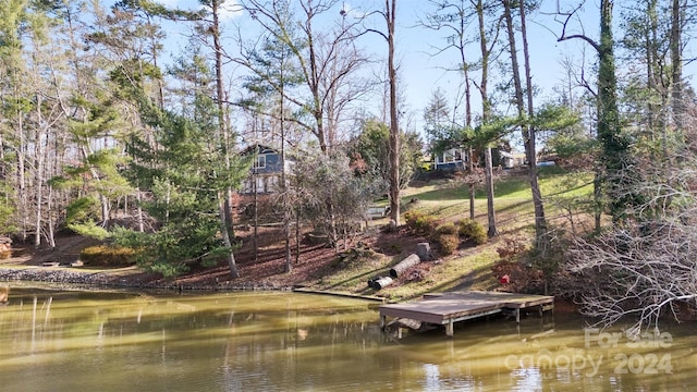 view of dock with a water view